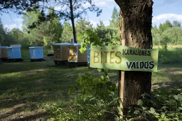 Atsargiai, bitės karalienės valdos 